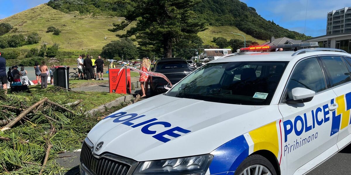 Rescue efforts underway after landslide hits New Zealand campsites and homes