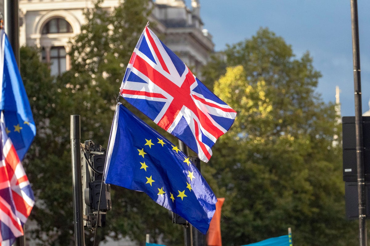 Shocking poll finds more Britons want to join EU than French or Italians