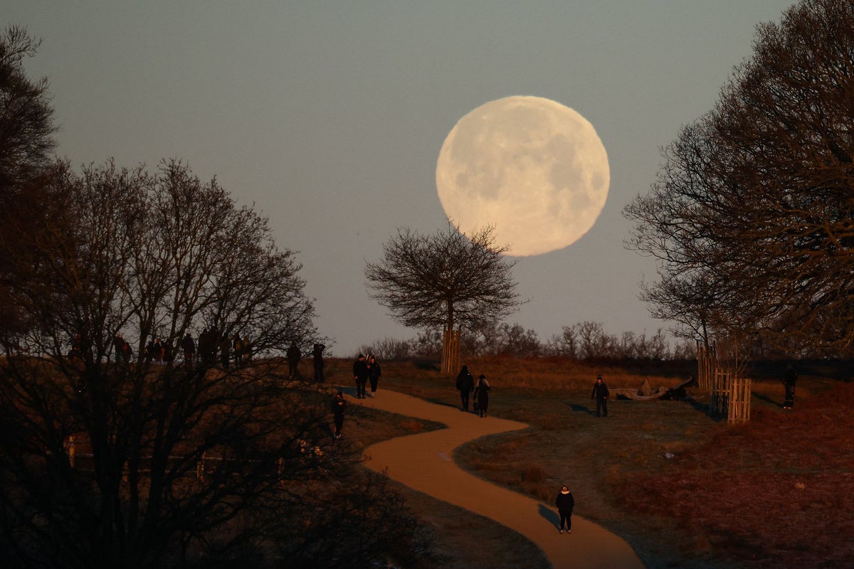 Stunning wolf supermoon photos from across the UK