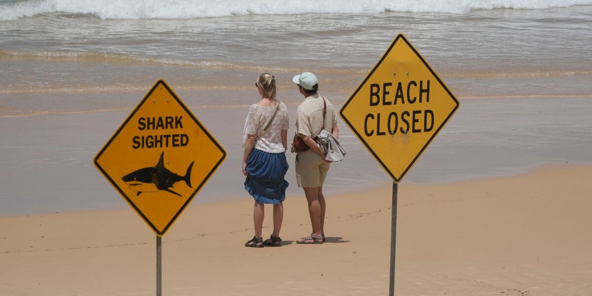 Surfer bitten in fourth shark attack in three days on Australia's east coast