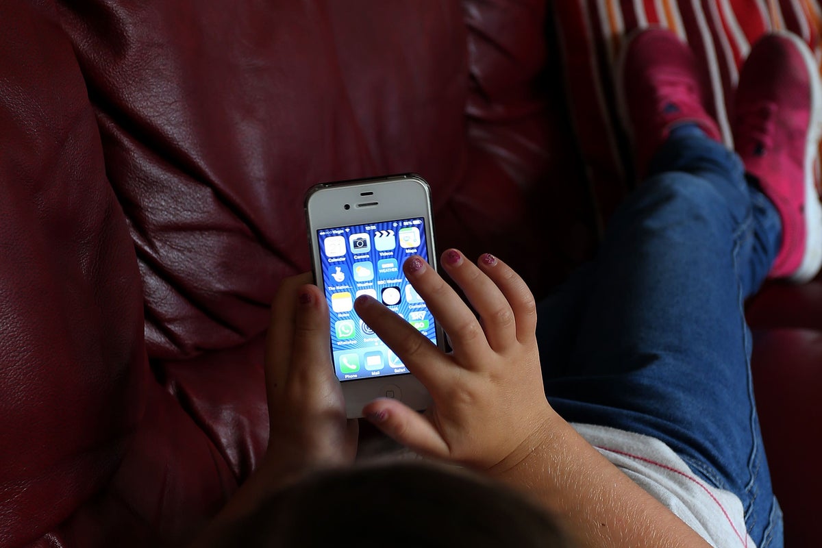 Terror law watchdog warns UK should ban children from using social media