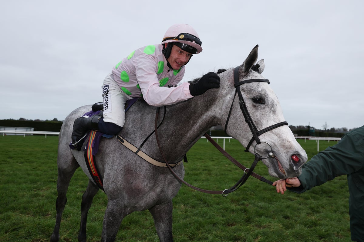 Tips and best bets for the 2026 Cheltenham Festival Champions and Stayers Hurdle