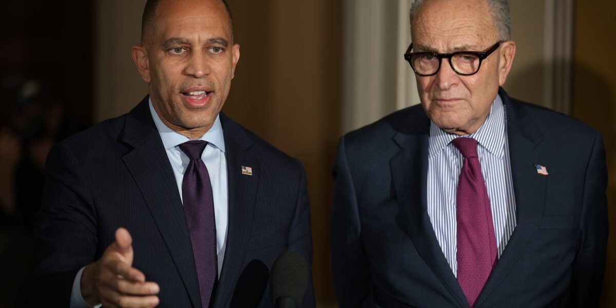 'What are the Democrats doing?': Strategists reveal what's wrong with resistance to Trump